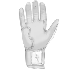 BRUCE BOLT 2021 YOUTH CHROME SERIES LONG CUFF BATTING GLOVES WITH STORAGE BAG